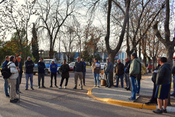 Jornada sobre poda de arbolado urbano