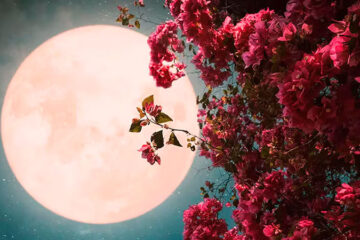 Llega la “Luna de las Flores”: qué es este fenómeno y cuándo ocurrirá