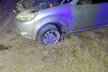Un novillo suelto en la ruta 1 causó un accidente cerca de Riglos