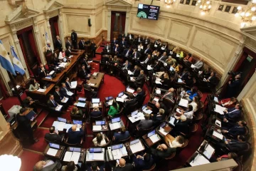 El Senado bonaerense prórrogará dos leyes fundamentales para el Sudoeste