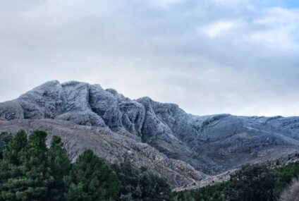 Consumió hongos alucinógenos, se perdió en las sierras de Villa Ventana y apareció tras un amplio operativo de búsqueda Consumió hongos alucinógenos, se perdió en las sierras de Villa Ventana y apareció tras un amplio operativo de búsqueda