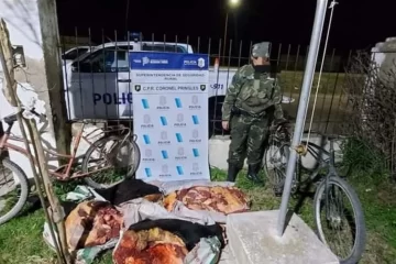 Coronel Pringles: llevaban 300 kilos de carne en dos bicicletas