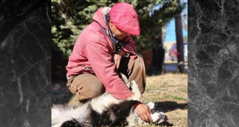 Villa Maza: Éxitosa jornada de castración de mascotas