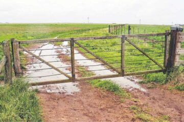 Legislatura bonaerense: el campo pide una reforma de las tasas municipales