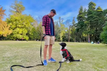 Creó una app para ayudar a encontrar mascotas perdidas y ya van más de 600 reencuentros
