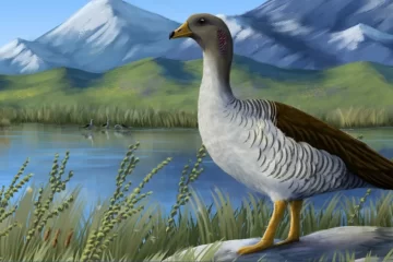 Científicos de la UNS y el Conicet descubren una especie prehistórica que habitó en la región