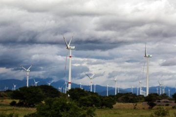 Argentina logró un récord en generación de energías renovables en 2024