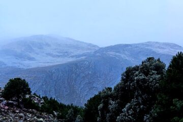 Sierra de la Ventana amaneció bajo un manto de nieve Sierra de la Ventana amaneció bajo un manto de nieve