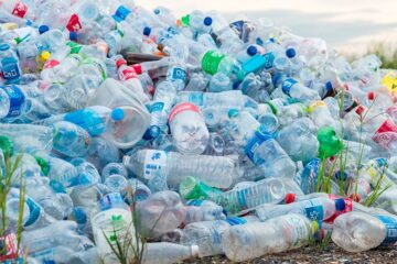 El reciclaje de plástico en Argentina se multiplicó por cinco en los últimos 20 años