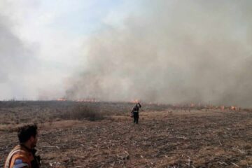 Bomberos de la zona enfrentaron un incendio de grandes dimensiones