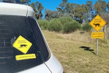 Lento por la fauna: si ves estos carteles en la ruta bajá la velocidad