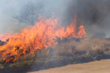 Bomberos Voluntarios de Rivera combatieron varios incendios de pastizales en terrenos del ferrocarril