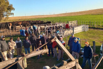 Vuelve la semana de Tranqueras Abiertas en las Chacras Experimentales del MDA