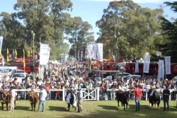 Todo preparado en Coronel Suárez para la muestra rural
