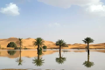 Mientras en África penan por la sequía, el desierto del Sahara se inundó por primera vez en 50 años