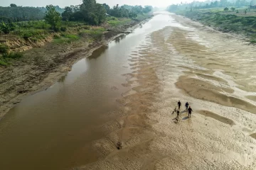 El cambio climático está secando el Amazonas, el mayor río del mundo