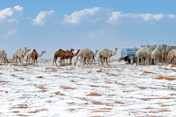 El desierto de Arabia Saudita quedó cubierto de nieve por primera vez en su historia