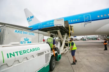 El Gobierno echó a 15 empleados de Intercargo por el paro en Aeroparque y Ezeiza El Gobierno echó a 15 empleados de Intercargo por el paro en Aeroparque y Ezeiza
