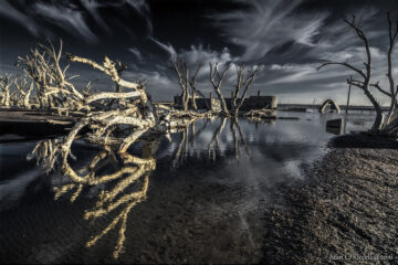Las ruinas de Epecuén y la Laguna de Puan a Semifinales del Mundial de Turismo Rural Las ruinas de Epecuén y la Laguna de Puan a Semifinales del Mundial de Turismo Rural