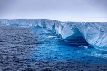 El iceberg más grande del mundo no se fragmentó y avanzó 117 kilómetros: va camino a las Islas Georgias