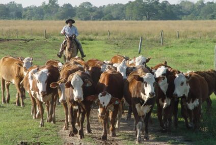 Día del Trabajador Rural: reconocimiento a quienes sostienen el trabajo del campo Día del Trabajador Rural: reconocimiento a quienes sostienen el trabajo del campo