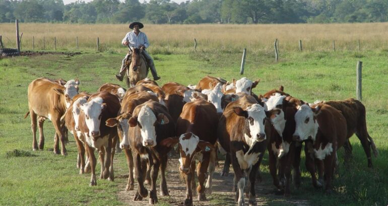 Día del Trabajador Rural: reconocimiento a quienes sostienen el trabajo del campo Día del Trabajador Rural: reconocimiento a quienes sostienen el trabajo del campo