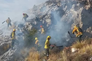 Con bomberos de la zona y un avión hidrante, combaten un incendio en Tornquist