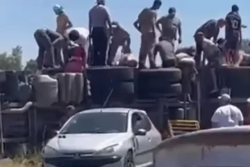 Volcó un camión en la ruta y vecinos faenaron unas 70 vacas en la banquina Volcó un camión en la ruta y vecinos faenaron unas 70 vacas en la banquina