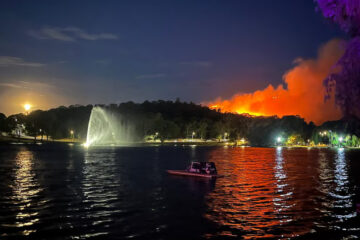 Tandil en llamas: devastador incendio forestal en el Cerro de la Cruz