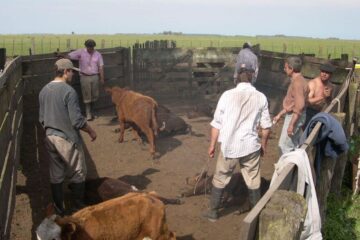 El Renatre lanzó una moratoria para empleadores rurales con deudas