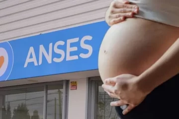Nueva disposición para la Asignación por Embarazo: ahora es obligatorio hacer un trámite presencial en la Anses