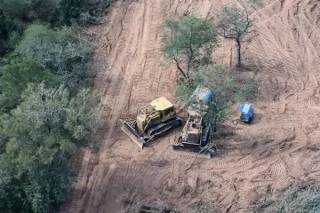 Por la deforestación, en 2024 se perdieron 150.000 hectáreas de bosque nativo en el norte de Argentina
