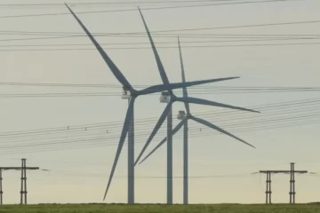 El Sudoeste Bonaerense sigue siendo un actor fundamental en energías eólica