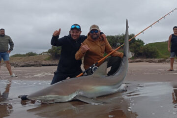 Asombro en Claromecó por la pesca de un tiburón de 90 kilos