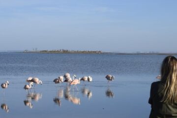 Viviana Castro: “Aún en ruinas, Epecuén genera una energía muy particular” Viviana Castro: “Aún en ruinas, Epecuén genera una energía muy particular”