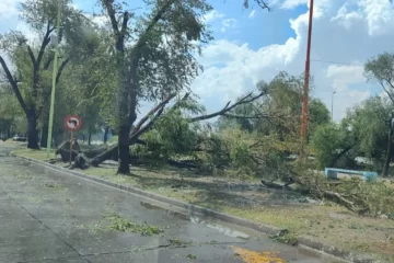 Feroz granizada, cortes de luz y árboles caídos en Bahía Blanca Feroz granizada, cortes de luz y árboles caídos en Bahía Blanca