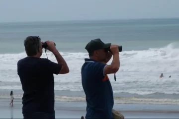 Intensa búsqueda de un joven que se metió al mar en Necochea con unos amigos y desapareció