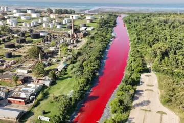 Un arroyo de Avellaneda se volvió rojo sangre por la presencia de anilina Un arroyo de Avellaneda se volvió rojo sangre por la presencia de anilina