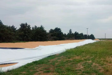 Ataque a silobolsas en un campo de Bordenave: investigan el hecho