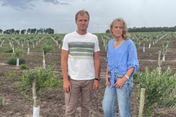 Ella es de Guaminí, él de Dorrego y producen uno de los mejores aceites del país