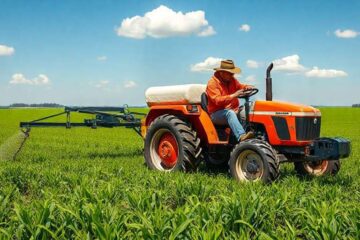 El Gobierno liberó el tránsito de un fertilizante prohibido desde hace más de 50 años