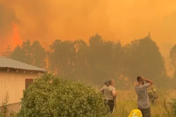 Incendios en Río Negro: declaran la Emergencia y Desastre Agropecuario y pedirán fondos a Nación