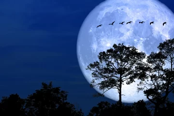 Noche de Luna de Nieve