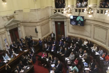 El Senado convirtió en ley la suspensión de las PASO