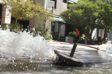 Bahía: En las redes afirmó haber visto muertos en Galerías Plaza y ante la justicia se desdijo Bahía: En las redes afirmó haber visto muertos en Galerías Plaza y ante la justicia se desdijo