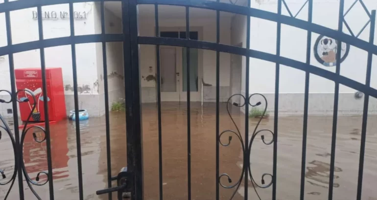 La salvaron entre todos: así está la escuela de Carhué que se había inundado La salvaron entre todos: así está la escuela de Carhué que se había inundado