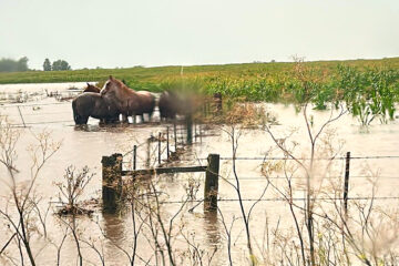 Grave impacto de las inundaciones en la Provincia: casi 2 millones de hectáreas bajo el agua