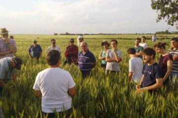 Diez años de agroecología en Guaminí: semillas para una nueva ruralidad
