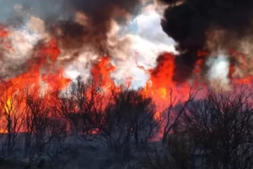 Multa millonaria a un Productor pampeano por provocar un incendio que afectó 1.600 hectáreas Multa millonaria a un Productor pampeano por provocar un incendio que afectó 1.600 hectáreas