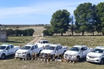 Dos detenidos de Riglos por abigeato: faenaban para carnicerías del oeste pampeano